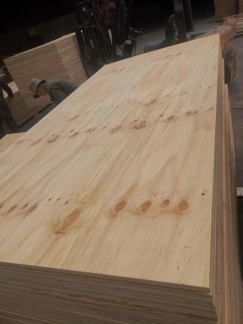 Untreated CDX Plywood